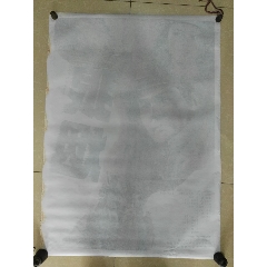 办理新罕布什尔州驾照